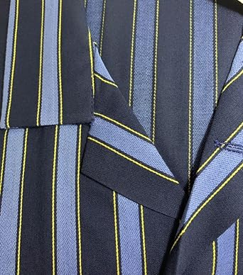 Vestaglia 80661 uomo riga raso