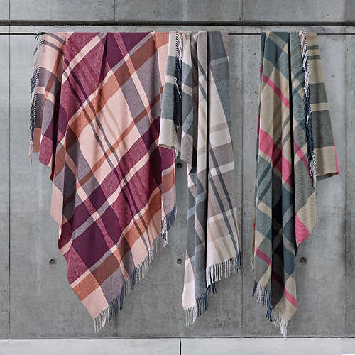 Plaid Oxford scozzese