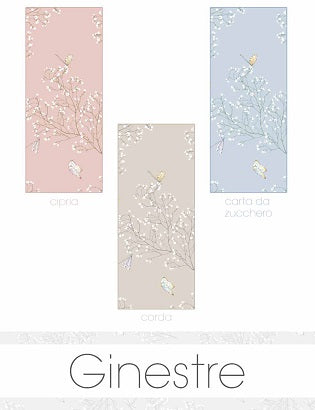 Butis Ginestra